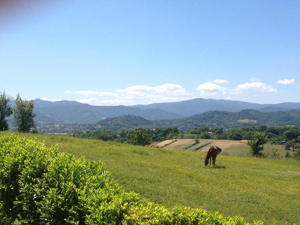 "Villa Bizzi" Monte Castelli Exterior foto